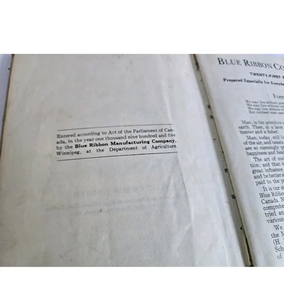 Blue Ribbon Cook Book Vintage Cookbook - Picture 7 of 7